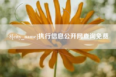 偃师执行信息公开网查询免费