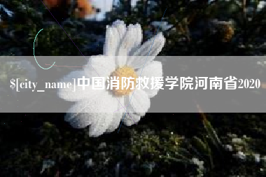 偃师中国消防救援学院河南省2020